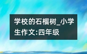 學校的石榴樹_小學生作文:四年級