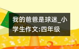 我的爸爸是球迷_小學生作文:四年級