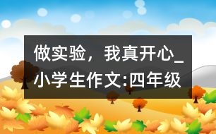 做實(shí)驗(yàn)，我真開心_小學(xué)生作文:四年級