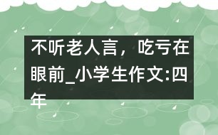 不聽老人言，吃虧在眼前_小學(xué)生作文:四年級