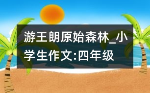 游王朗原始森林_小學(xué)生作文:四年級(jí)