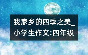 我家鄉(xiāng)的四季之美_小學(xué)生作文:四年級(jí)