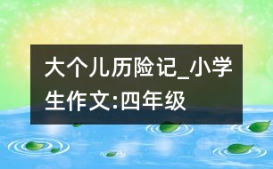 大個兒歷險(xiǎn)記_小學(xué)生作文:四年級