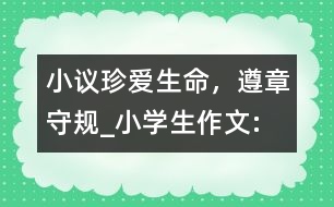 小議“珍愛(ài)生命，遵章守規(guī)”_小學(xué)生作文:四年級(jí)