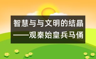 智慧與與文明的結(jié)晶――觀秦始皇兵馬俑后感_小學生作文:四年級