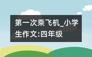 第一次乘飛機(jī)_小學(xué)生作文:四年級