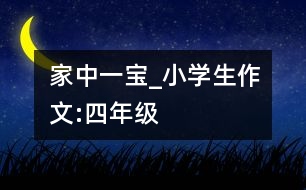 家中一寶_小學生作文:四年級