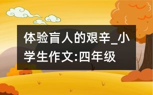 體驗(yàn)盲人的艱辛_小學(xué)生作文:四年級