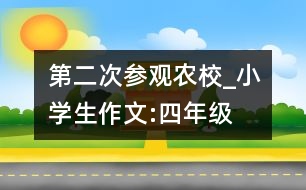 第二次參觀農(nóng)校_小學(xué)生作文:四年級