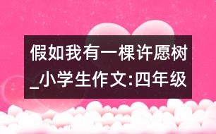 假如我有一棵許愿樹(shù)_小學(xué)生作文:四年級(jí)