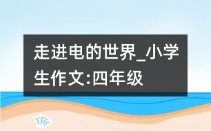 走進“電的世界”_小學(xué)生作文:四年級