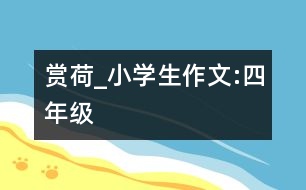 賞荷_小學(xué)生作文:四年級