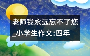 老師,我永遠忘不了您_小學生作文:四年級
