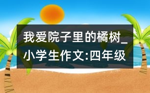 我愛院子里的橘樹_小學(xué)生作文:四年級