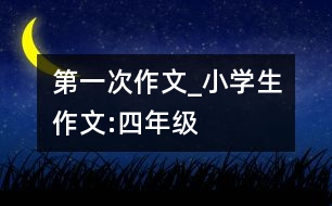 第一次作文_小學(xué)生作文:四年級