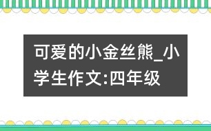 可愛的小金絲熊_小學生作文:四年級