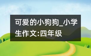 可愛的小狗狗_小學(xué)生作文:四年級(jí)