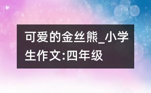 可愛的金絲熊_小學(xué)生作文:四年級