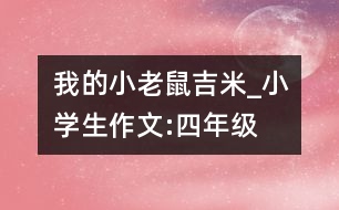 我的小老鼠吉米_小學生作文:四年級