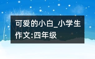 可愛的小白_小學生作文:四年級