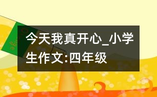 今天,我真開(kāi)心_小學(xué)生作文:四年級(jí)