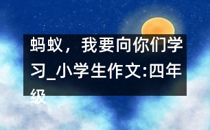 螞蟻，我要向你們學習_小學生作文:四年級