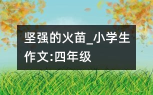堅(jiān)強(qiáng)的火苗_小學(xué)生作文:四年級(jí)