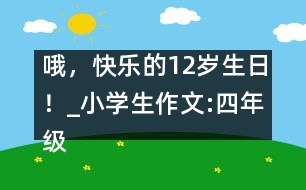 哦，快樂的12歲生日！_小學生作文:四年級