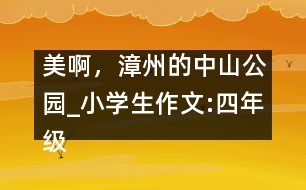 美啊，漳州的中山公園_小學(xué)生作文:四年級(jí)