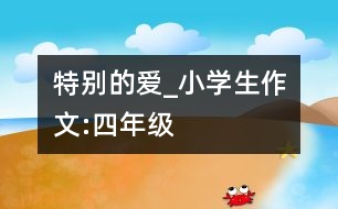 特別的愛(ài)_小學(xué)生作文:四年級(jí)