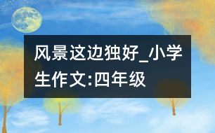 風景這邊獨好_小學(xué)生作文:四年級