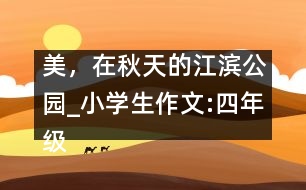 美，在秋天的江濱公園_小學(xué)生作文:四年級(jí)