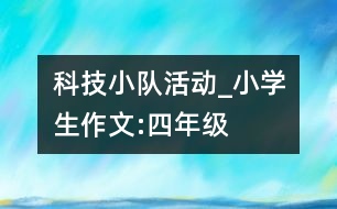 科技小隊活動_小學(xué)生作文:四年級