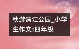 秋游清江公園_小學生作文:四年級