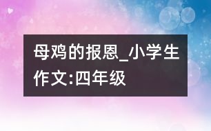 母雞的報恩_小學(xué)生作文:四年級