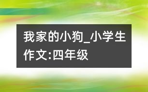 我家的小狗_小學(xué)生作文:四年級(jí)