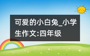 可愛的小白兔_小學(xué)生作文:四年級(jí)