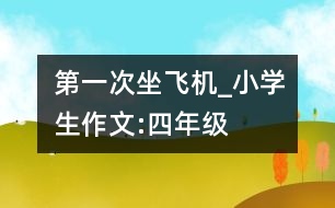 第一次坐飛機_小學(xué)生作文:四年級