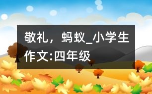 敬禮，螞蟻_小學(xué)生作文:四年級