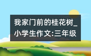 我家門前的桂花樹_小學(xué)生作文:三年級