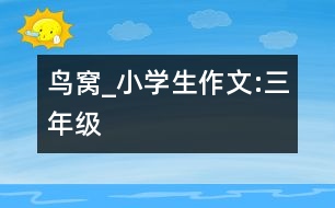 鳥(niǎo)窩_小學(xué)生作文:三年級(jí)