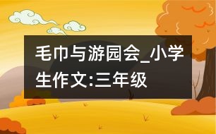毛巾與游園會(huì)_小學(xué)生作文:三年級