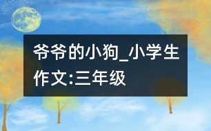 爺爺?shù)男」穇小學生作文:三年級