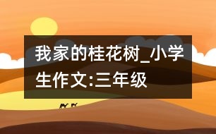 我家的桂花樹_小學(xué)生作文:三年級