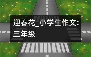 迎春花_小學(xué)生作文:三年級