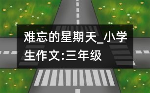 難忘的星期天_小學(xué)生作文:三年級