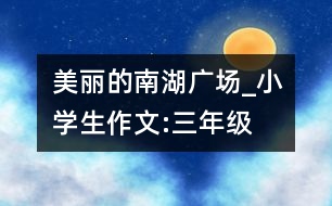 美麗的南湖廣場_小學(xué)生作文:三年級