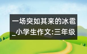 一場(chǎng)突如其來的冰雹_小學(xué)生作文:三年級(jí)