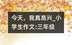今天，我真高興_小學(xué)生作文:三年級(jí)