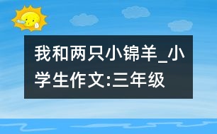 我和兩只小錦羊_小學生作文:三年級